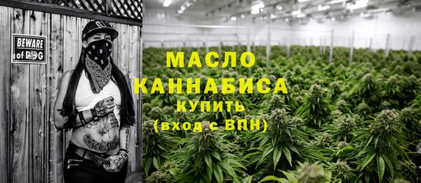 СК Алексин