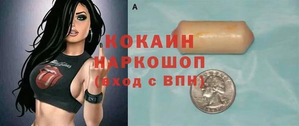 СК Алексин