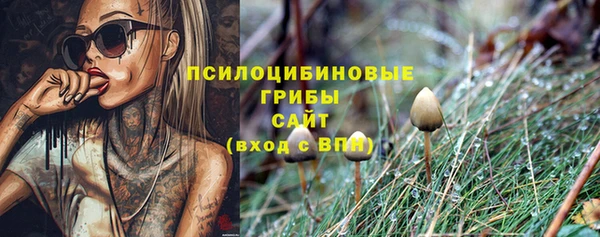 индика Нея
