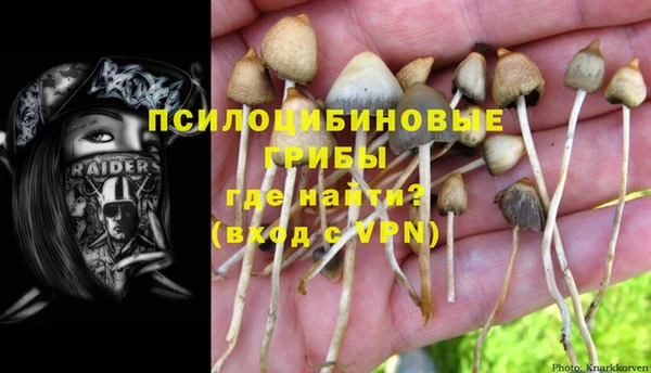 2c-b Абдулино